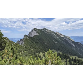 Wanderweg zwischen Fürstensteig und Kuhgrat mit diversen Standorten von Pinugicula vulgaris