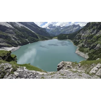 Pinguicula vulgaris am Oeschinensee