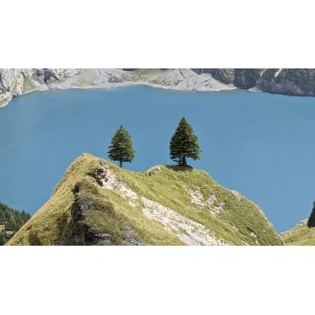 Pinguicula vulgaris am Oeschinensee