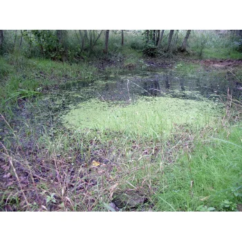 Süssmath Nattheim (Bild 01) Süssmath Nattheim (Bild 01)