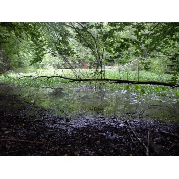 Süssmath Nattheim (Bild 02) Süssmath Nattheim (Bild 02)