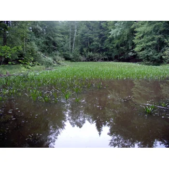 Süssmath Nattheim (Bild 03) Süssmath Nattheim (Bild 03)