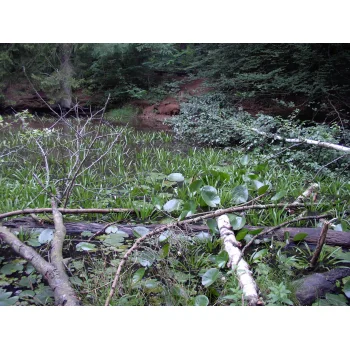 Sssmath Nattheim (Bild 04) Sssmath Nattheim (Bild 04)