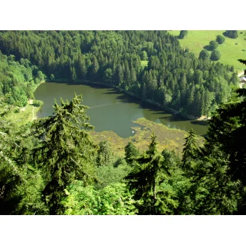 Nonnenmattweiher 01